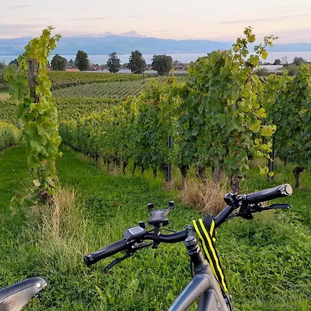 Ferienwohnung Mit Klavier Bodensee * Wasserburg